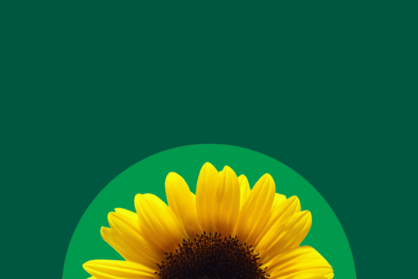 Non-visible disabilities (30 minutes)